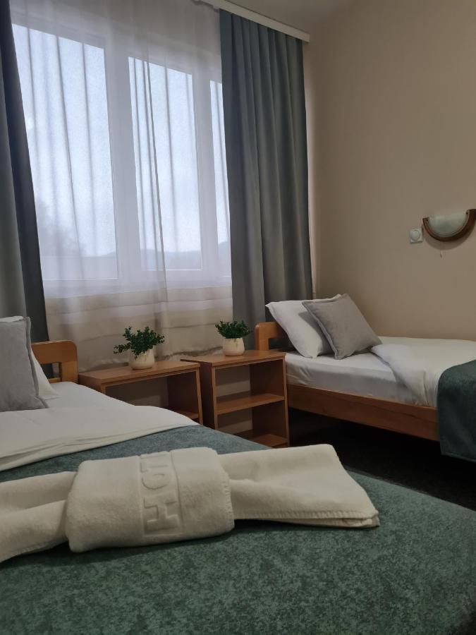 Garni Hotel Alma Pirot Extérieur photo