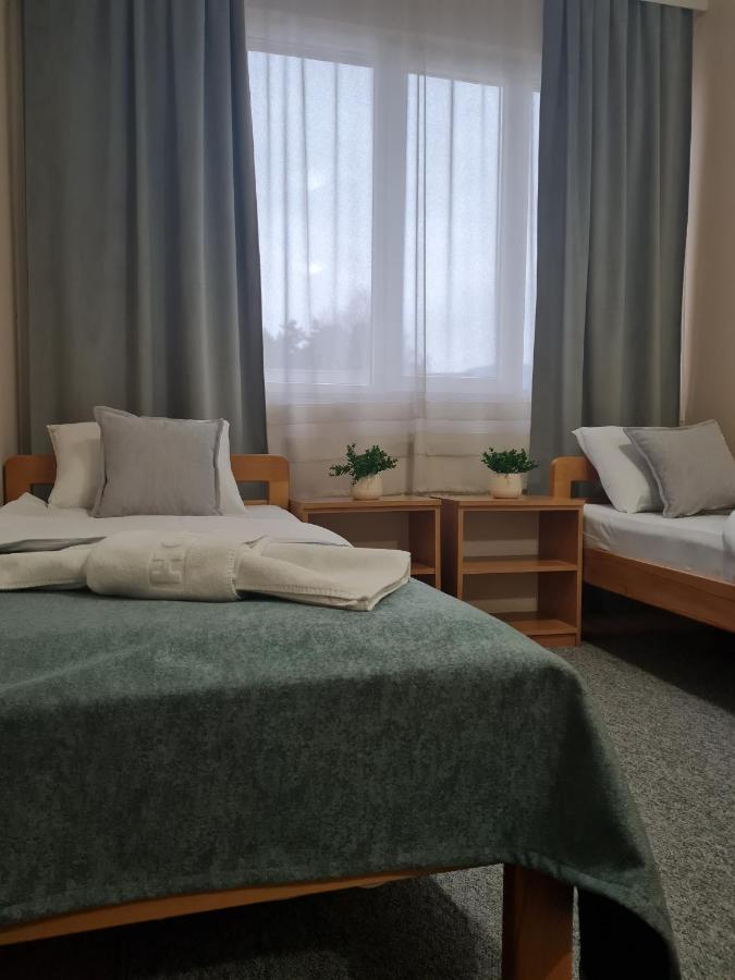 Garni Hotel Alma Pirot Extérieur photo